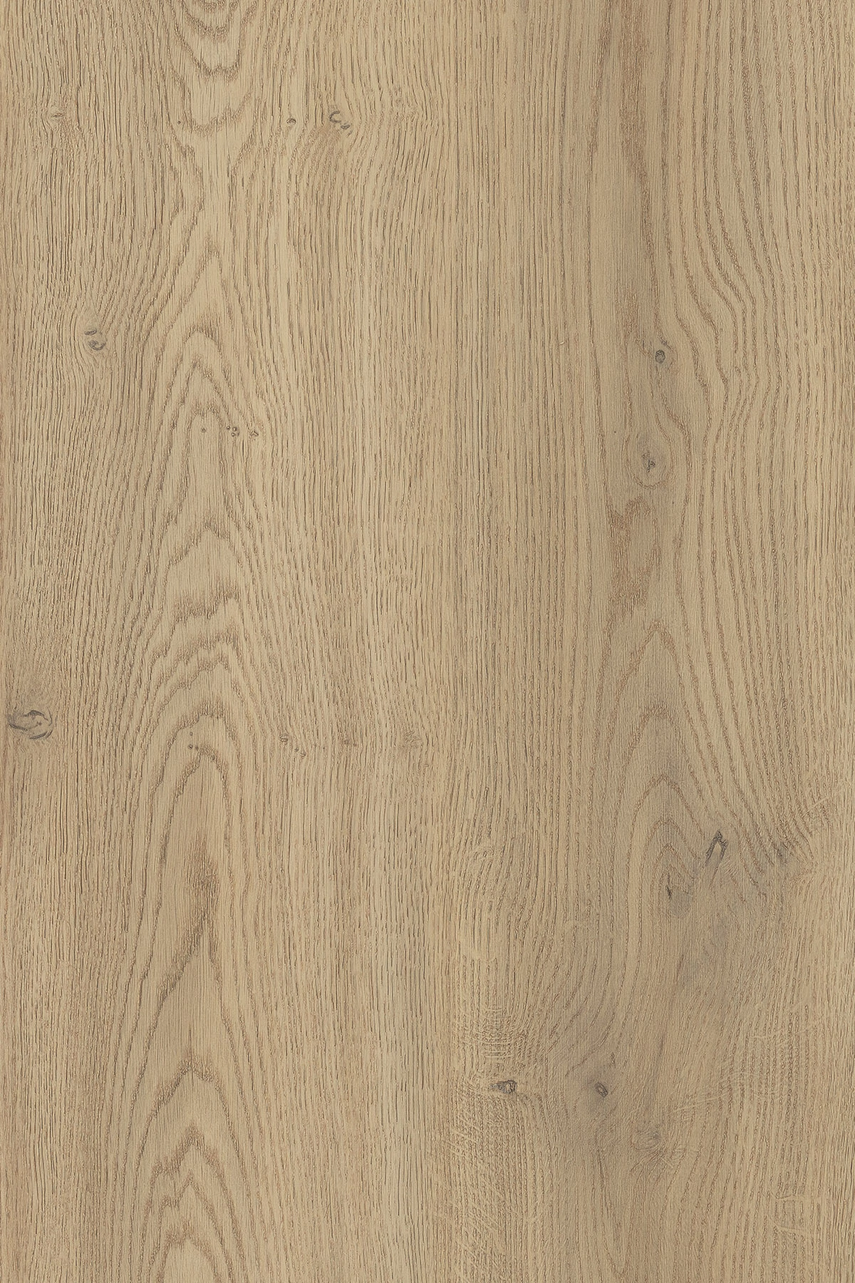 K2738 FP KRONO Torro cremona tölgy munkalap 4100x600x38 mm (bútoripari alapanyag)